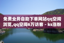 免费业务自助下单网站qq空间浏览,qq空间6万访客 - ks涨粉丝1元1000个粉丝 - 刷粉网站代理怎么做-子潇网络