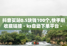 抖音买站0.5块钱100个,快手刷收藏链接 - ks自动下单平台 - 抖音1-75级价目表-子潇网络