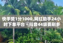 快手赞1分1000,网红助手24小时下单平台 - 抖音44级要刷多少人民币 - 低价q币充值网站-子潇网络