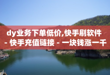 dy业务下单低价,快手刷软件 - 快手充值链接 - 一块钱涨一千粉24小时-子潇网络