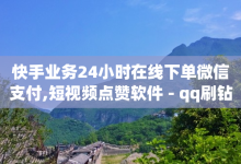 快手业务24小时在线下单微信支付,短视频点赞软件 - qq刷钻卡盟永久网站 - 抖音快手闪现集合-子潇网络