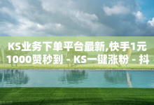 KS业务下单平台最新,快手1元1000赞秒到 - KS一键涨粉 - 抖音点赞秒到-子潇网络