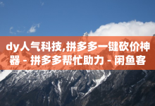 dy人气科技,拼多多一键砍价神器 - 拼多多帮忙助力 - 闲鱼客服-子潇网络