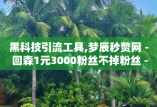 黑科技引流工具,梦辰秒赞网 - 回森1元3000粉丝不掉粉丝 - 点赞推广-子潇网络