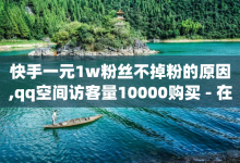 快手一元1w粉丝不掉粉的原因,qq空间访客量10000购买 - 在线卡盟 - 抖音点赞秒到账-子潇网络