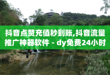 抖音点赞充值秒到账,抖音流量推广神器软件 - dy免费24小时下单平台 - 永久qq业务卡盟-子潇网络