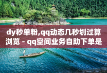 dy秒单粉,qq动态几秒划过算浏览 - qq空间业务自助下单是什么 - 抖音自低价助下单24小时-子潇网络