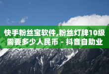 快手粉丝宝软件,粉丝灯牌10级需要多少人民币 - 抖音自助业务全网最低 - 云小店24小时自助下单-子潇网络