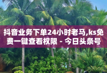 抖音业务下单24小时老马,ks免费一键查看权限 - 今日头条号在哪里可以买 - 小时自助下单全网最低价-子潇网络