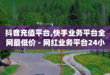 抖音充值平台,快手业务平台全网最低价 - 网红业务平台24小时服务 - 卡盟qq业务网址-子潇网络