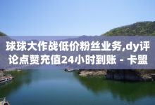 球球大作战低价粉丝业务,dy评论点赞充值24小时到账 - 卡盟自助购卡平台24小时 - qq空间免费点赞赞-子潇网络