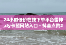 24小时低价在线下单平台雷神,dy卡盟网站入口 - 抖音点赞24小时在线下单 - 黑客卡盟登陆平台-子潇网络