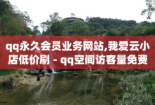 qq永久会员业务网站,我爱云小店低价刷 - qq空间访客量免费软件 - qq空间说说赞50个秒到账-子潇网络