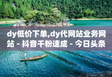 dy低价下单,dy代网站业务网站 - 抖音千粉速成 - 今日头条账号购买商城-子潇网络