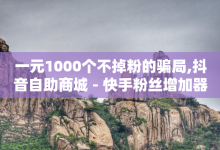 一元1000个不掉粉的骗局,抖音自助商城 - 快手粉丝增加器怎么用 - 抖音苹果怎么用微信充值-子潇网络