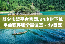 颜夕卡盟平台官网,24小时下单平台软件哪个最便宜 - dy自定义评论业务 - 空间访客量网站-子潇网络