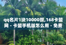 qq名片1块10000攒,168卡盟网 - 卡盟手机版怎么用 - 免费QQ空间说说赞软件-子潇网络