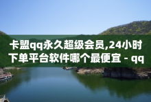 卡盟qq永久超级会员,24小时下单平台软件哪个最便宜 - qq免费互赞游戏 - qq空间说说赞50个秒到账-子潇网络