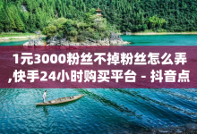 1元3000粉丝不掉粉丝怎么弄,快手24小时购买平台 - 抖音点赞在线充值 - 免费qq空间说说浏览量-子潇网络