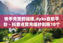 快手充赞的链接,dyks自助平台 - 抖音点赞充值秒到账10个 - 抖音千川可以充值100吗-子潇网络