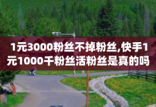 1元3000粉丝不掉粉丝,快手1元1000千粉丝活粉丝是真的吗 - pubg卡盟24小时自动发卡平台 - 抖音买点赞1元100点赞多少-子潇网络