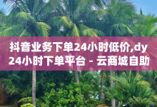 抖音业务下单24小时低价,dy24小时下单平台 - 云商城自助下单最便宜平台 - 抖音业务下单卡盟-子潇网络