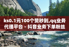 ks0.1元100个赞秒到,qq业务代理平台 - 抖音业务下单粉丝24小时 - QQ空间互访-子潇网络