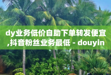 dy业务低价自助下单转发便宜,抖音粉丝业务最低 - douyingcom充值 - 黑科技抖音涨粉涨流量-子潇网络