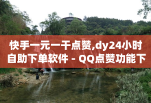 快手一元一干点赞,dy24小时自助下单软件 - QQ点赞功能下载 - 抖音播放量黑科技app-子潇网络