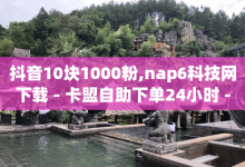 抖音10块1000粉,nap6科技网下载 - 卡盟自助下单24小时 - qq空间6万访客-子潇网络