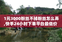 1元3000粉丝不掉粉丝怎么弄,快手24小时下单平台最低价 - 刷会员最稳定的卡盟网站 - 快手业务自助全网最低价-子潇网络