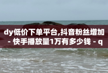 dy低价下单平台,抖音粉丝增加 - 快手播放量1万有多少钱 - qq卡盟网站平台-子潇网络