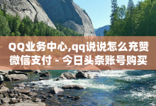 QQ业务中心,qq说说怎么充赞微信支付 - 今日头条账号购买批发 - 抖音85折官方充值渠道-子潇网络