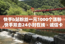 快手b站粉丝一元1000个活粉,快手双击24小时在线 - 诚信卡盟在线自助下单 - 快手增加播放量的软件免费-子潇网络