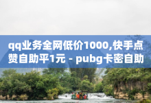 qq业务全网低价1000,快手点赞自助平1元 - pubg卡密自助下单全网最便宜 - qq免费风景名片-子潇网络