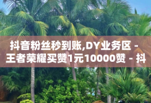 抖音粉丝秒到账,DY业务区 - 王者荣耀买赞1元10000赞 - 抖音粉丝增加助手-子潇网络