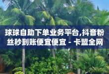 球球自助下单业务平台,抖音粉丝秒到账便宜便宜 - 卡盟全网货源在哪 - qq怎么买空间访客-子潇网络