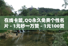 在线卡盟,QQ永久免费个性名片 - 1元秒一万赞 - 1元100赞自助平台快手买-子潇网络