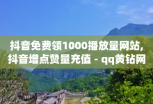 抖音免费领1000播放量网站,抖音增点赞量充值 - qq黄钻网站便宜 - 小红书自助快手业务下单真人-子潇网络