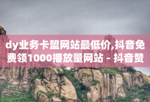 dy业务卡盟网站最低价,抖音免费领1000播放量网站 - 抖音赞自助低价 - 快手流量推广网站-子潇网络