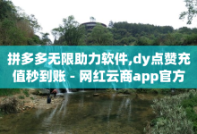 拼多多无限助力软件,dy点赞充值秒到账 - 网红云商app官方下载 - 抖音75号转让-子潇网络