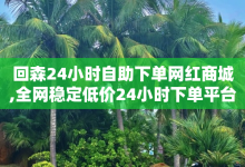 回森24小时自助下单网红商城,全网稳定低价24小时下单平台 - 小红书业务下单 - 快手刷双击网址网址-子潇网络