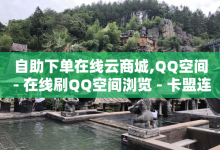 自助下单在线云商城,QQ空间 - 在线刷QQ空间浏览 - 卡盟连接-子潇网络