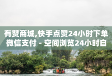 有赞商城,快手点赞24小时下单微信支付 - 空间浏览24小时自助下单 - 卡盟在线下单平台最低价-子潇网络