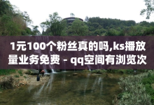 1元100个粉丝真的吗,ks播放量业务免费 - qq空间有浏览次数却无访客 - KS低价作品双击-子潇网络