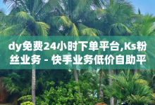 dy免费24小时下单平台,Ks粉丝业务 - 快手业务低价自助平台超低价 - 二十四小时抖音点赞自助平台-子潇网络