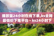 播放量24小时在线下单,ks全网最低价下单平台 - ks24小时下单平台 - qq访客2万怎么做到的-子潇网络