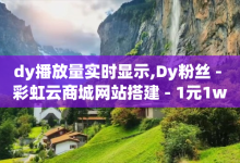 dy播放量实时显示,Dy粉丝 - 彩虹云商城网站搭建 - 1元1w粉丝-子潇网络