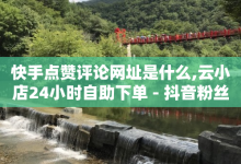 快手点赞评论网址是什么,云小店24小时自助下单 - 抖音粉丝1块钱10个 - 抖音ios充值入口官网1比1-子潇网络