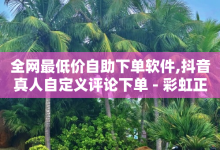 全网最低价自助下单软件,抖音真人自定义评论下单 - 彩虹正版授权官网 - 卡密拿货渠道-子潇网络